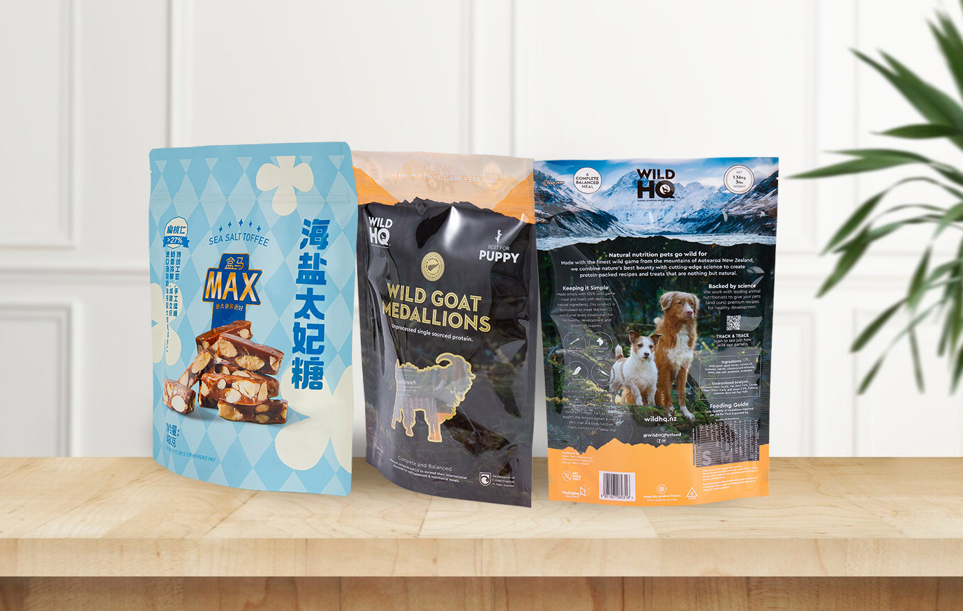 ยืนขึ้นกระเป๋า