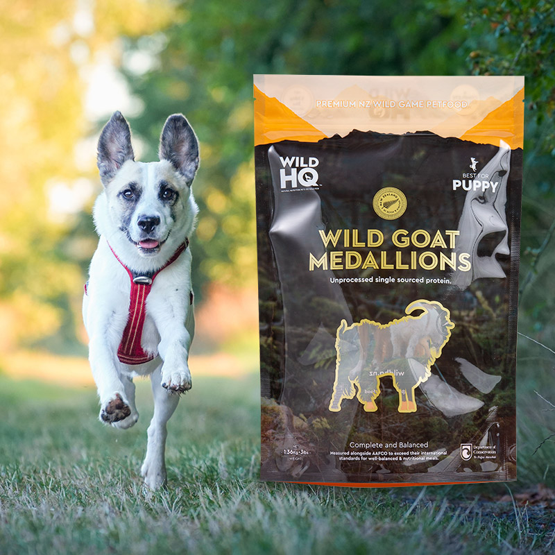 ถุงถุงยืนขึ้น 1-5 กก. สำหรับขนมสุนัข